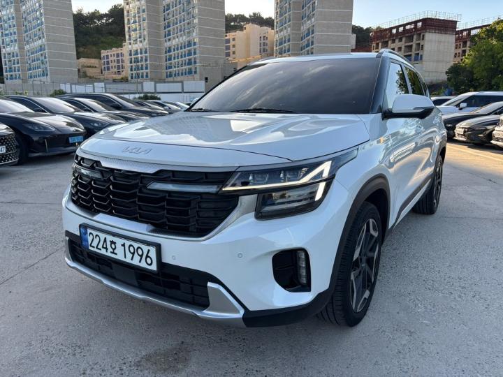 셀토스