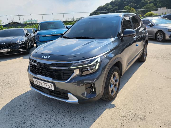 셀토스